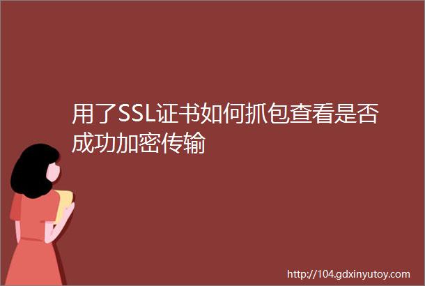 用了SSL证书如何抓包查看是否成功加密传输